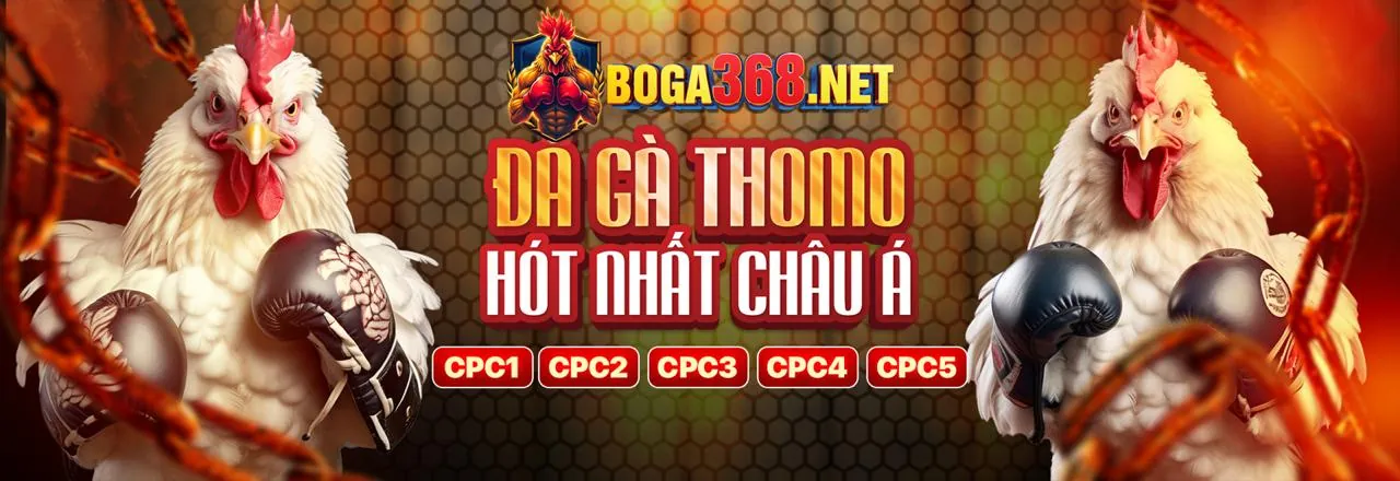 Hình ảnh nền tảng đá gà trực tiếp chấm net với các ưu đãi đăng ký hấp dẫn