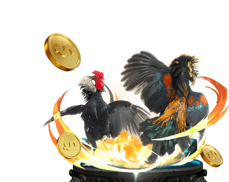 Ưu đãi và khuyến mãi độc quyền cho thành viên đá gà trực tiếp chấm net